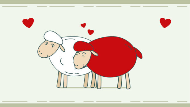 sheep_double