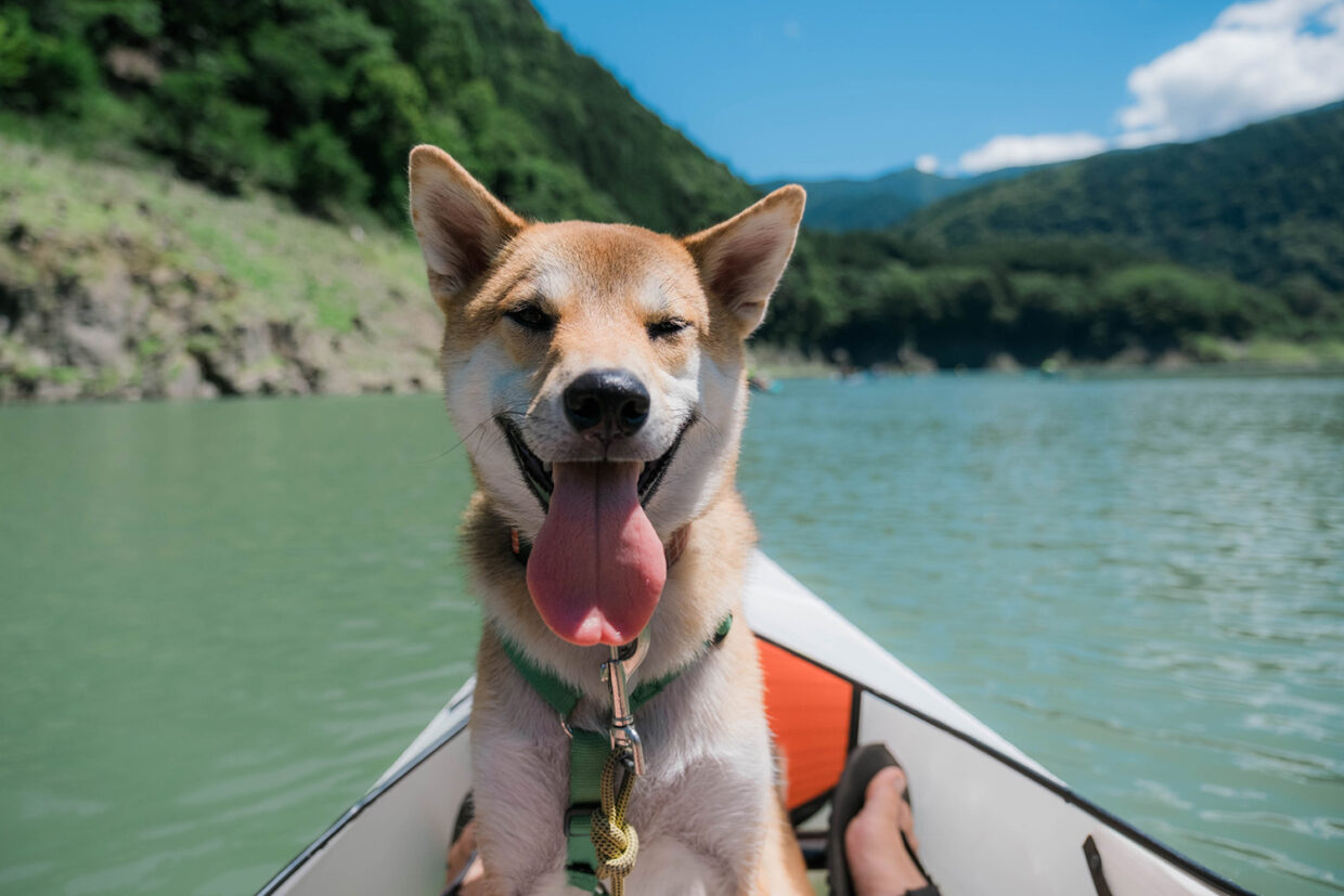 Jan's Kayak Adventure
