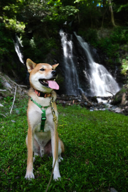 Jan waterfall