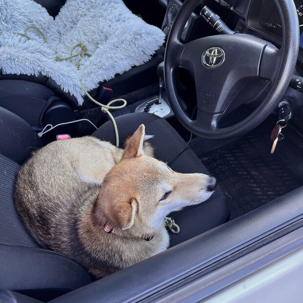 Jan in the driver's seat