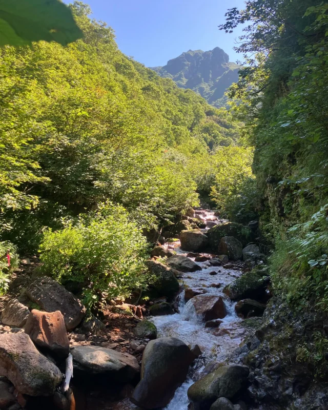【スタッフ日記】
こんにちは！オンネトー2年目のスタッフYです。

北海道には素晴らしい山々がたくさんあります。
先日、やっとお天気に恵まれた休日に斜里岳に行ってきました。百名山の1座でもありますね。

斜里岳は渓流の渡渉や滑滝の登りが楽しめる緊張感と爽快感が最高に楽しい山でした。
山頂からは、知床連山、摩周湖、屈斜路湖、大雪山系、国後島、オホーツク海までも道東エリアがぐるり360度の絶景です！何より毎日ここオンネトーの背景に見る雌阿寒岳・阿寒富士が山頂から見えた瞬間は感動もの。

この秋、ぜひ道東の名峰3山に挑戦してみてはいかがでしょう。

**************************

私たちのいるここ休憩舎は、雌阿寒岳オンネトー登山口前に位置し、登山で疲れた身体を一時的にでも癒していただけるほっとする場所でありたい！と日々みなさまをお迎えお待ちしております🍦☕️