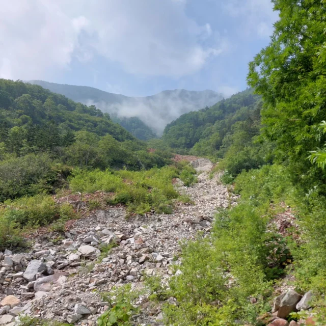【スタッフ日記】
こんにちは。スタッフKです。

先日日高山脈の十勝幌尻岳に行ってきました。
予報では晴れだったのですが、残念ながら現地は曇り。
他の登山者もいなく完ソロでした。
日高山脈は山深くて緑がとても美しい。
つい最近国立公園にも指定されましたね。

ぜひ日高山脈を堪能してみてください。
熊には要注意です🐻
